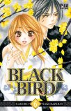 Black bird 06