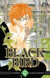 Black bird 12
