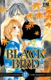 Black bird 17