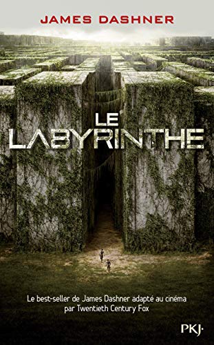 L'Épreuve 1 : Le Labyrinthe